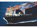 China shipping agent