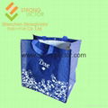 Shopping Bag 