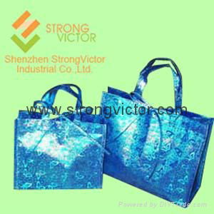 Gift shopping bag 2