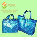 Gift shopping bag