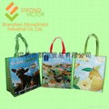 PET Shopping Bag