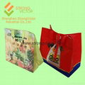 PP Woven Shopping Bag for Promotion