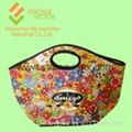 carry bag