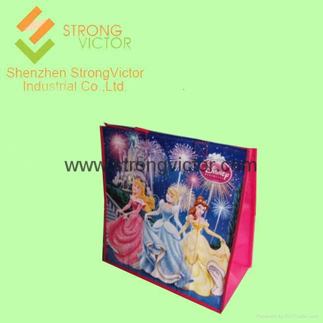 non woven bag 4