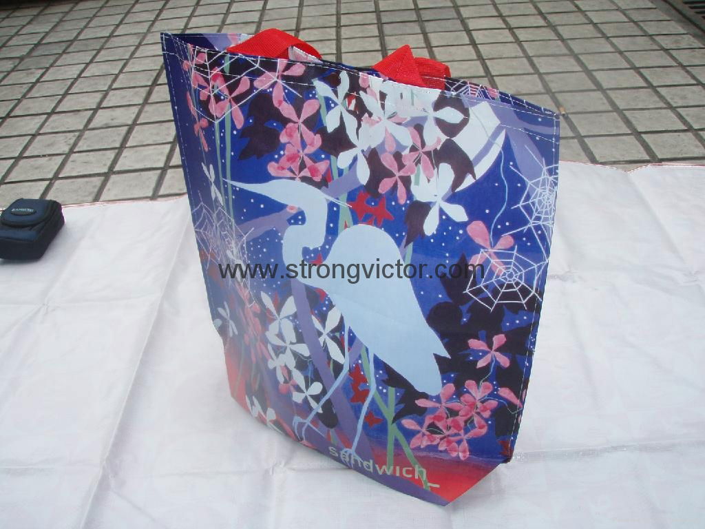 non woven bag 5