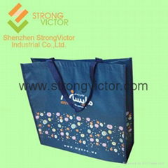 Promotion bag