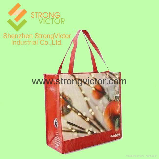 NON WOVEN BAG 3