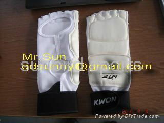 taekwondo gloves 2