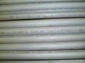 SEAMLESS DUPLEX PIPE 1.4462