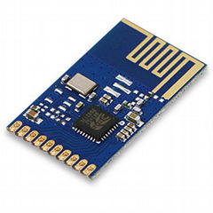 2.4G Switch Control RF Transmit Module