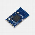 Bluetooth 5.0 RF Module