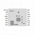 LoRa1278 Remote Spread Spectrum Wireless Module 2