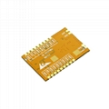 433Mhz High Power SX1278 LoRa Module with PA 2