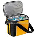 Cooler Bag 1