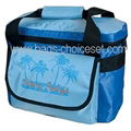 Cooler Bag