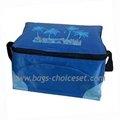 70D nylon PVC Cooler Bag