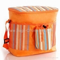 Striped Cooler Bag with Mesh Pockets 1