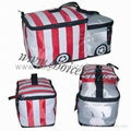 Cooler bag in Car Shape 4