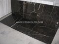 Brown marble tiles