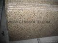 Prefab Granite countertops 