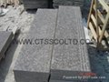 Granite Steps and floor 