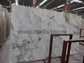 Straight white marble slab and tile