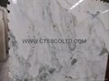 Colourful white marble slabs / tiles