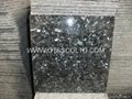 Granite floor and wall tile