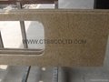 Granite Kitchen Countertop and worktop