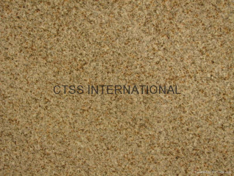 Yellow Beige Golden color granite paving stone bush-hammered 60x60x2cm 4