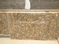Giallo Fiorito granite counter tops