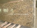 Santa Cecilia granite countertops