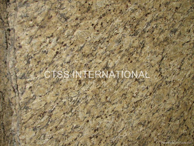 New Venetian Gold Granite Countertop Slab Newvenetiangold