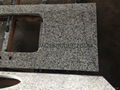 Luna Pearl granite countertop 4