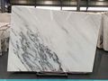 Star White marble 