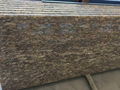 natural granite countertops 5