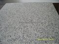 Grey Granite floor tile 60x60cm