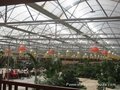 東莞農業溫室大棚專用陽光板