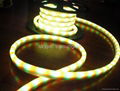 RGB led neon rope lights 4 wire color changing 2