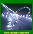 LED rope light - 2 wire 1/2"