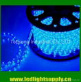 LED rope light - 2 wire 1/2"