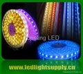 LED decoration light & LED christmas light