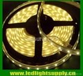 LED decoration light & LED christmas light