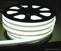 flexible LED neon decorative light white