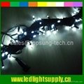 LED string light (xmas string) 10Meter/pc