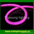 12V/24V pink led neon flex light