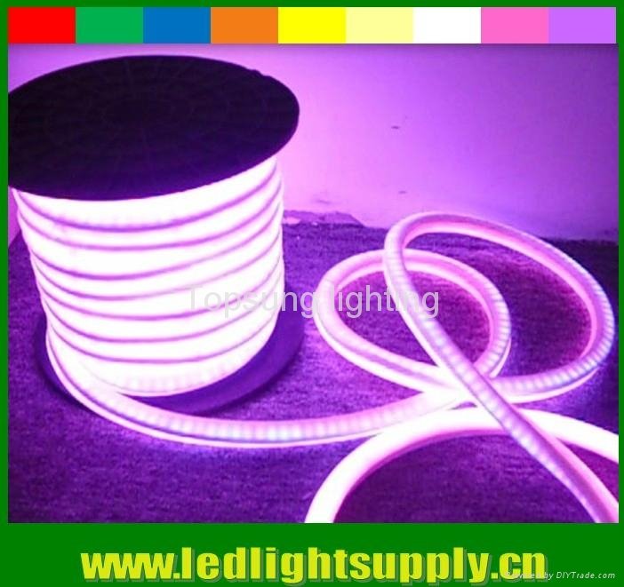 DMX RGB LED neon full color changing
