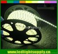 5050 SMD led rope lighting -Wam white