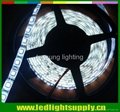 5050 smd led strip lighting white