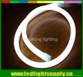 Super bright 5050 smd led neon lights